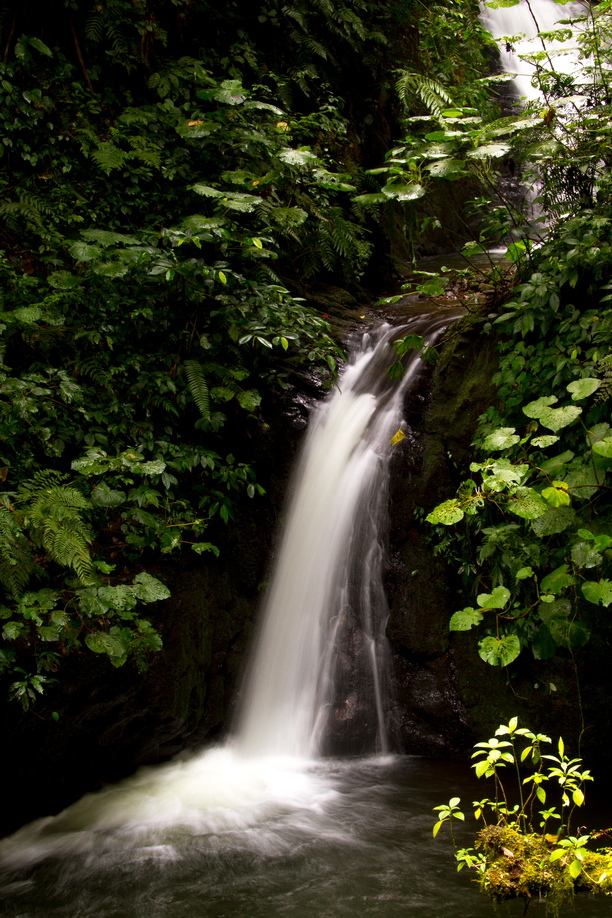 A gothic ice formation resembles a waterfall both above and in the descent, in St Jonsfjorden, Svalbard.